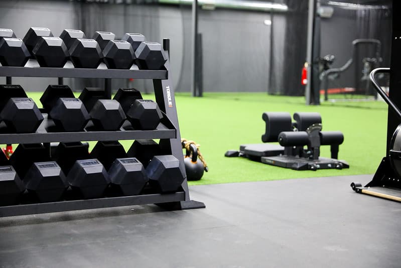 Private strength and agility training in the gym